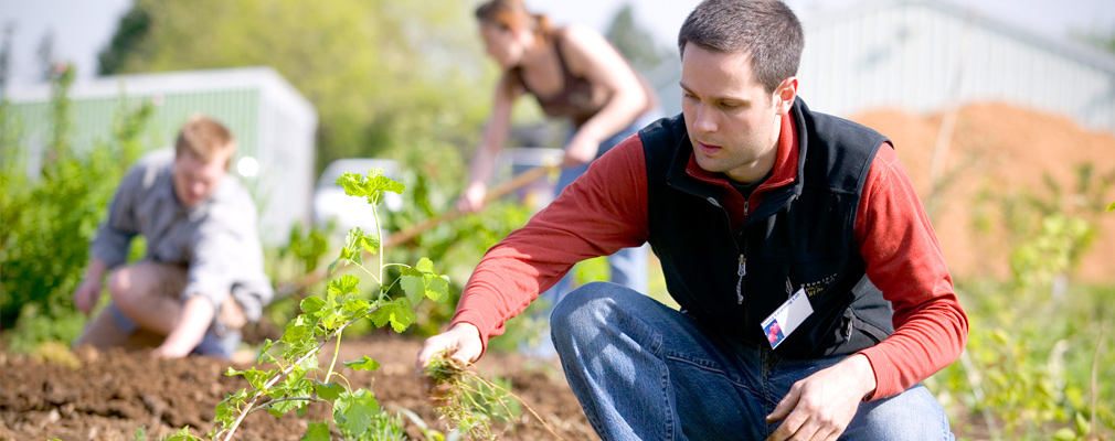 Photograph of three university students working in a garden.