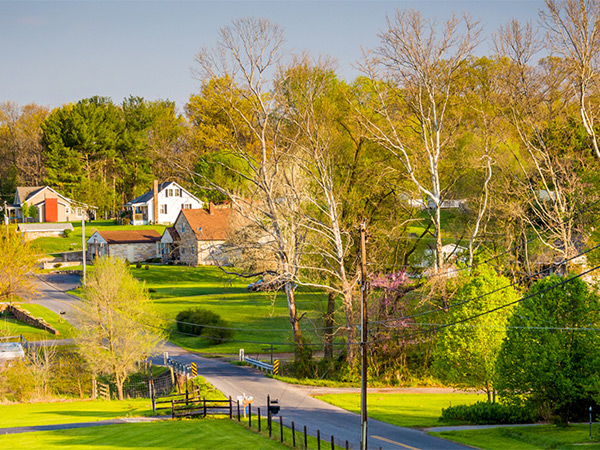 Photograph of a road running through a rural residential area with trees and single-family detached homes.