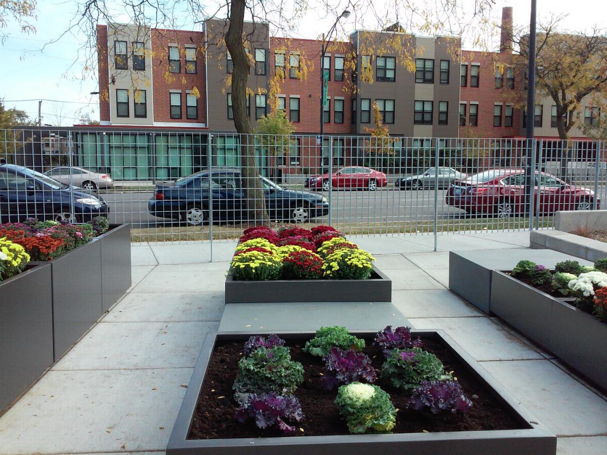 Photograph of a grid of raised garden beds containing flowers and vegetables. A three-story residential building, The Grant at Woodlawn Park, is in the background.