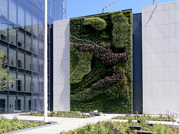 Photograph of the Prudential Tower Living Wall, an exterior building wall that is covered in vegetation, in Newark, New Jersey.