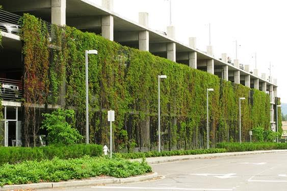 Photograph of a vegetated screen covering the façade and stairwells of the multistory Issaquah Transit Center regional park and ride facility.