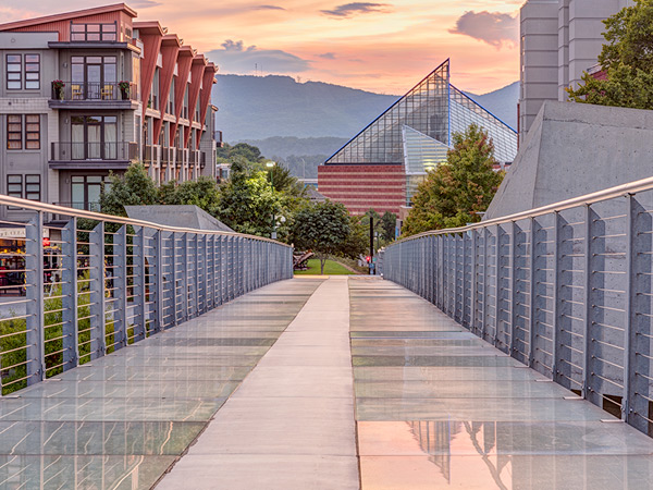 Photograph of a pedestrian bridge with a glass tile floor, surrounded by vegetation and multistory buildings.