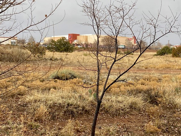 A vacant site, with an adjacent parcel of developed land visible in the background.