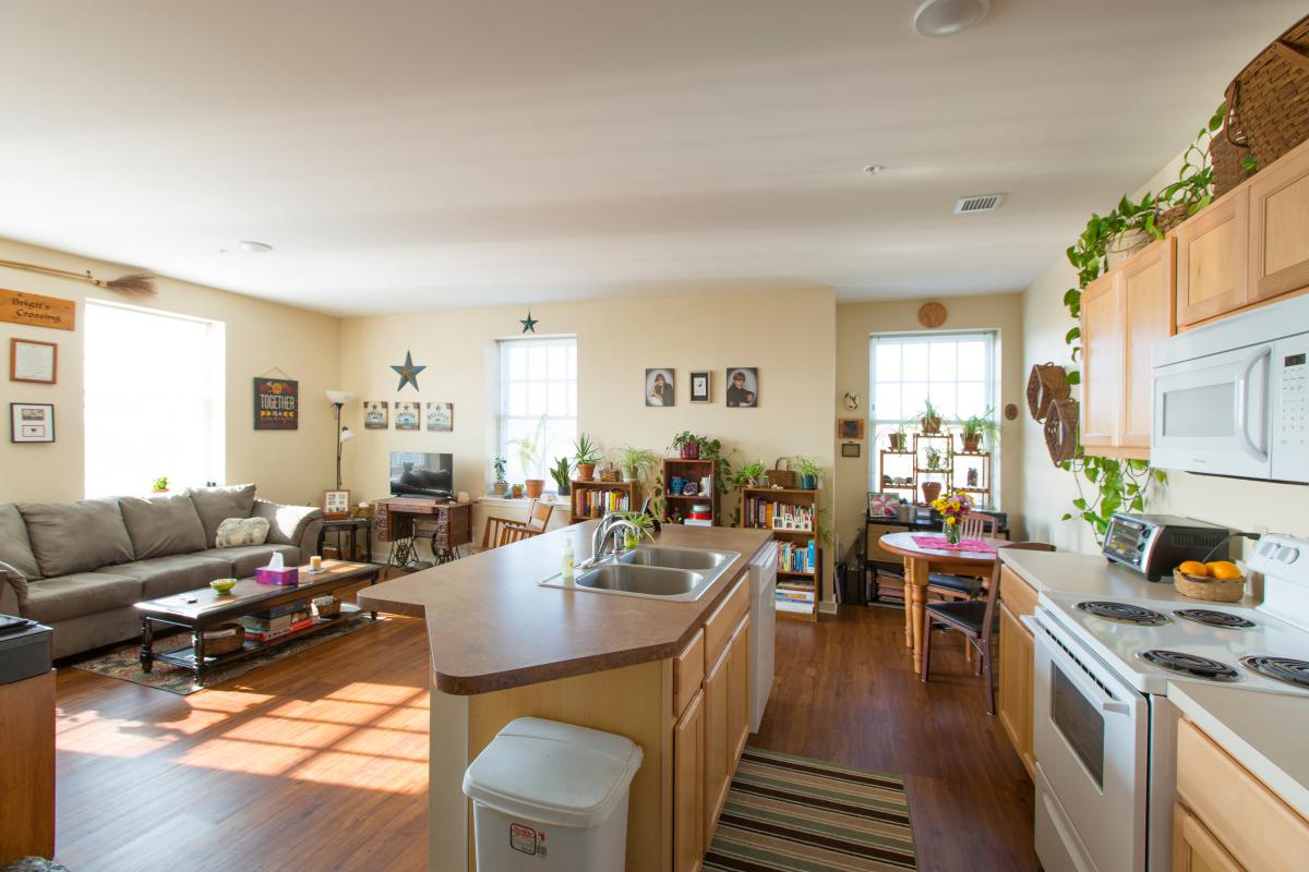 Photograph of a brightly-lit, furnished living area and kitchen, the kitchen demarcated by an island with a sink.