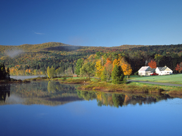 A home is situated in a heavily vegetated rural area near a lake.