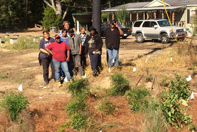 Photograph of eight women in work clothes standing beside newly planted shrubs.