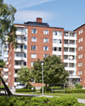 National Housing Market Indicators: December 2024