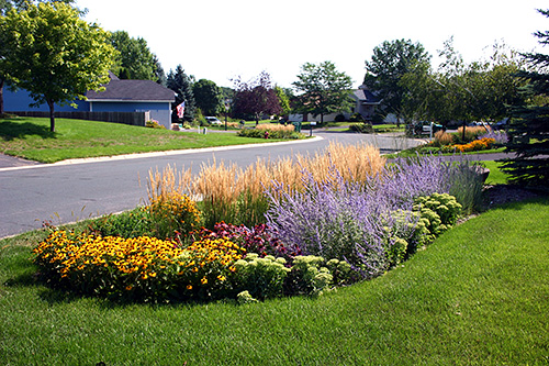 Photograph of a neighborhood that uses rain gardens.
