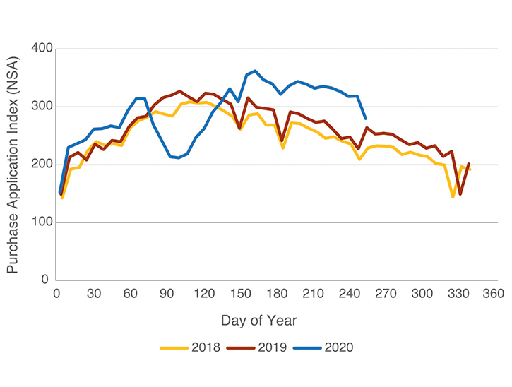 Line chart shows changes in Purchase Application Index over a year for 2018, 2019 and 2020.
