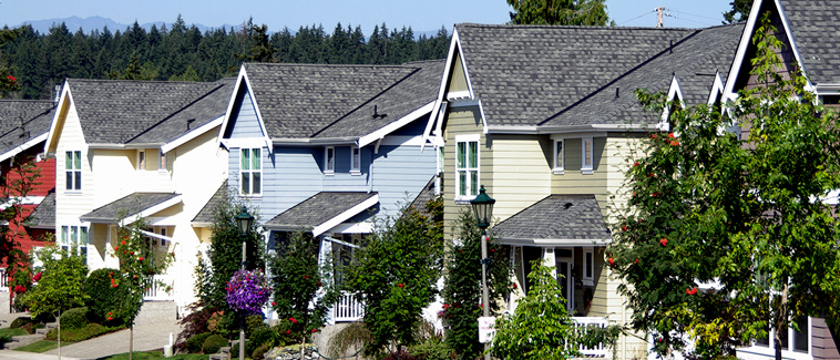 Photograph of five multi-story, single-family detached homes in a row along a street.