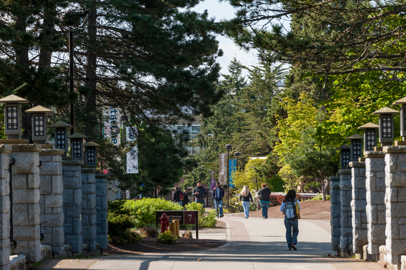 Image showing students walking near and along the Tacoma Community College campus walkway bridge, flanked by stone pillars and surrounded by trees, looking towards the south end of campus.