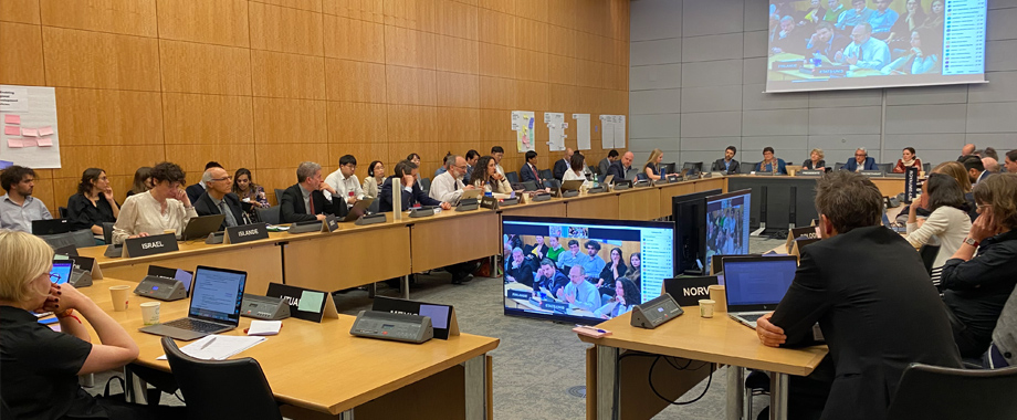 Kurt Usowski, the Deputy Assistant Secretary for Economic Affairs, speaking at an OECD meeting.