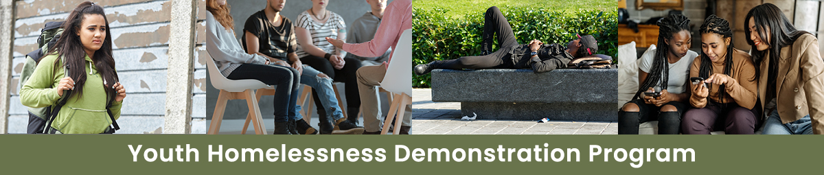 Youth Homelessness Demonstration Program