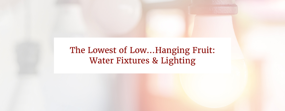 The Lowest of Low...Hanging Fruit: Water Fixtures & Lighting