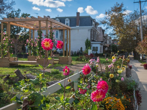 A community garden with flowers in the foreground and houses and a gazebo in the background.