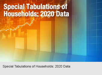 Special Tabulations of Households: 2020 Data