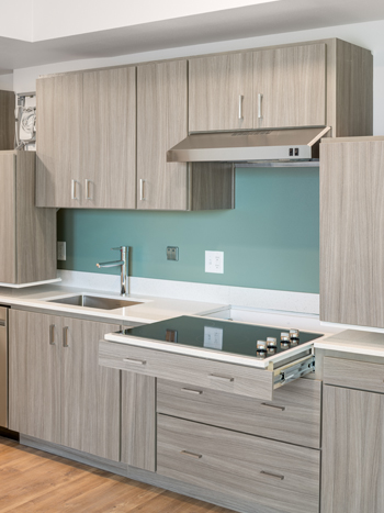 A modern single-wall kitchen with a pull-out cooktop.