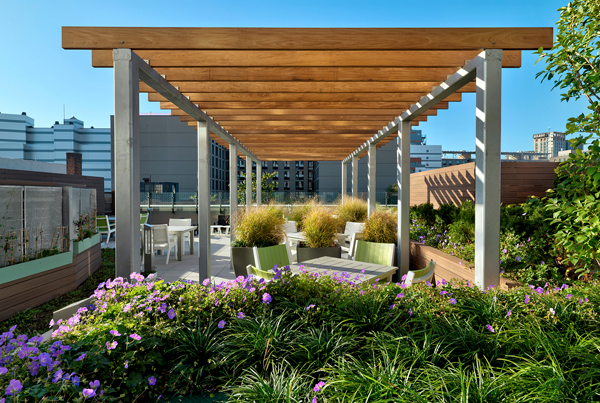 An apartment roof deck with a pergola over seating, and vegetation elements in the foreground. 