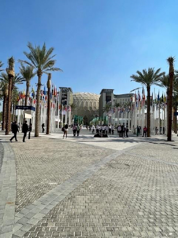 COP28 participants gathered in Dubai, United Arab Emirates.