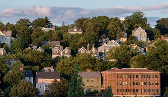 Several types of residential buildings on a wooden hillside.