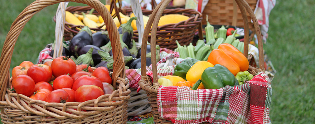 Photograph of six woven baskets holding tomatoes, peppers, eggplant, and zucchini and other produce. The baskets are on a table standing in a lawn.