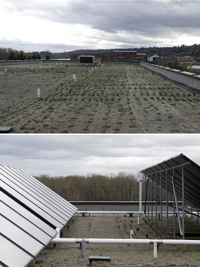 A pair of pictures of the green roof of Gray’s Landing. One picture of most of the roof shows rows of vegetation sprouting on the roof. The other picture shows portions of two sets of solar panels (approximately 20 panels), with some vegetation between the panels.