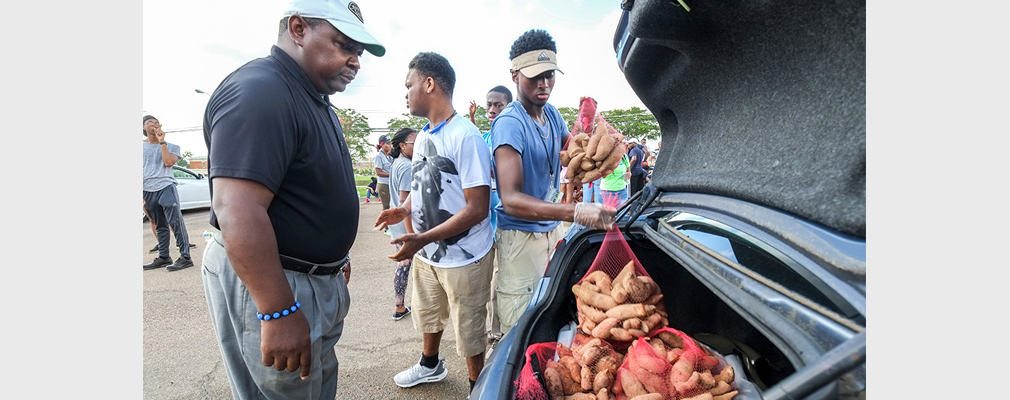Photograph of students loading bags of sweet potatoes into the trunk of a car.