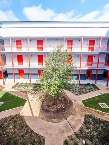 A courtyard with radial pathways leading to a single tree and three stories of apartment entries in the background.